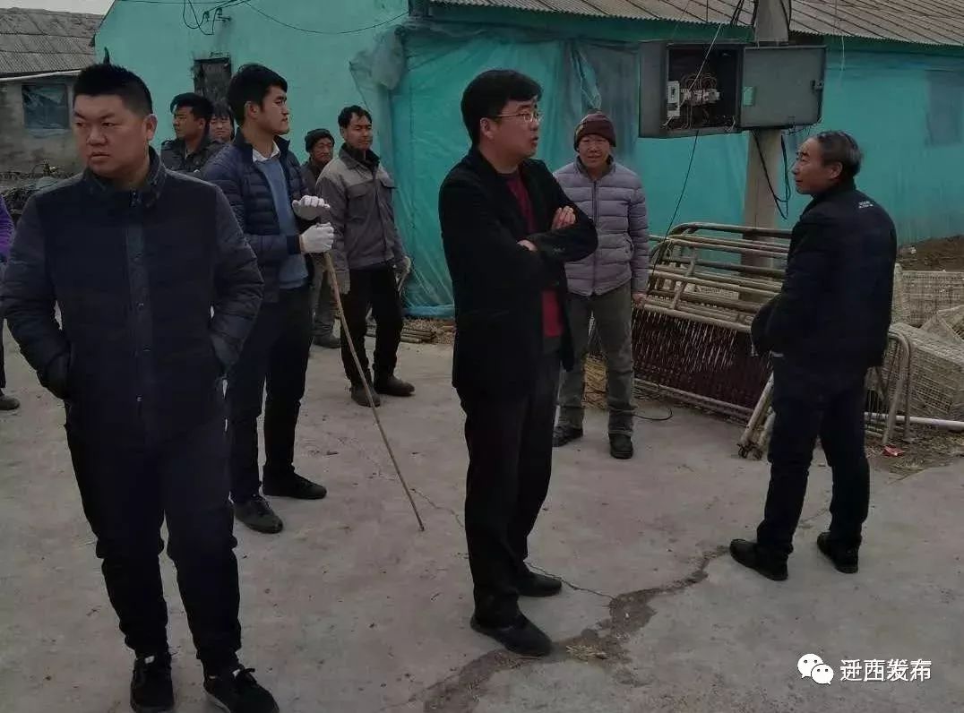 闷嘎村的新领导风采展现