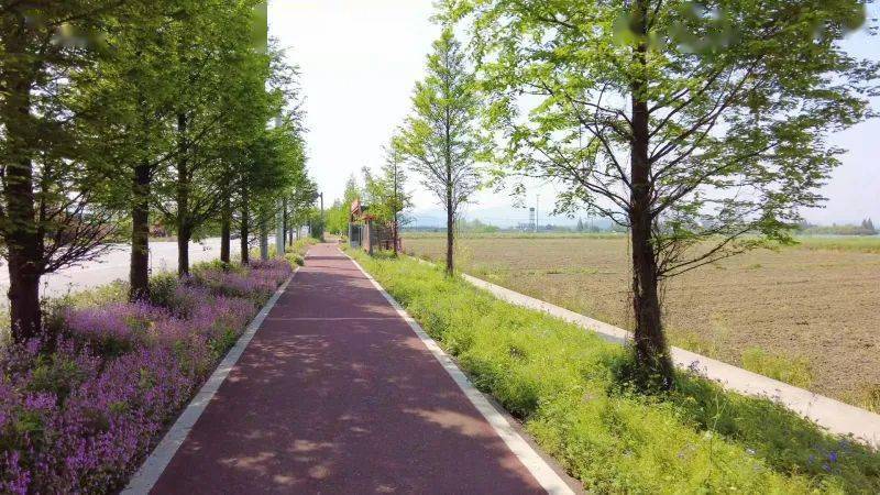 景洪市应急管理局发展规划展望