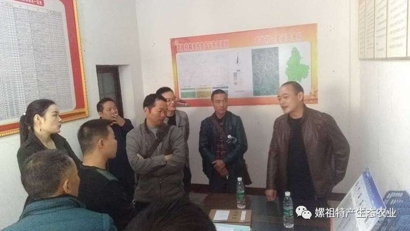 学龙村最新新闻报道概览