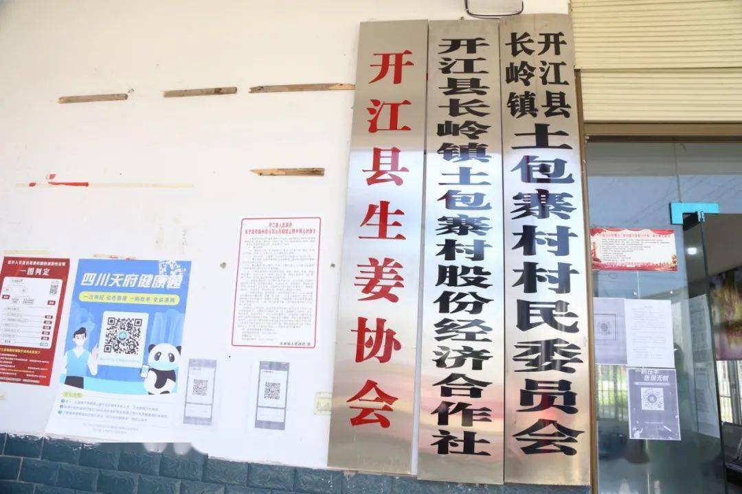 通渭县殡葬事业单位发展规划探讨，未来展望与策略调整