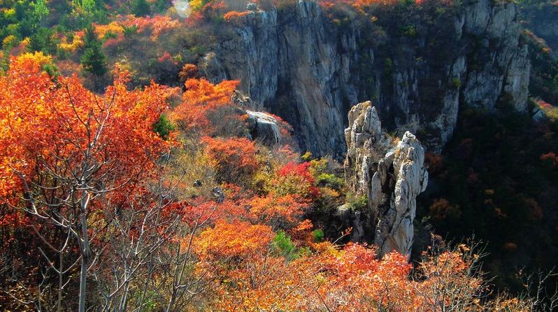 坨南乡发展规划引领乡村新篇章启动